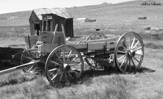 Un carro abandonat/An abandoned carriage