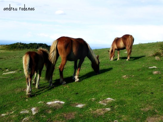 Monte Jaizkibel. Pais Basc / Mount Jaizquibel. Basque Country