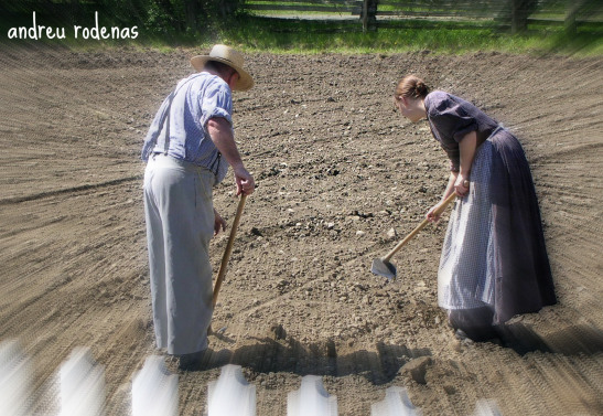 Treballant a la granja / Working on a farm