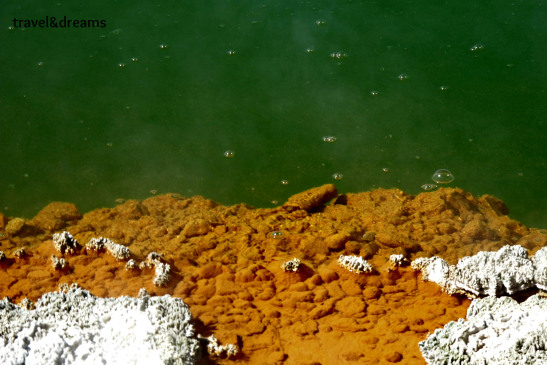 Champagne Pool